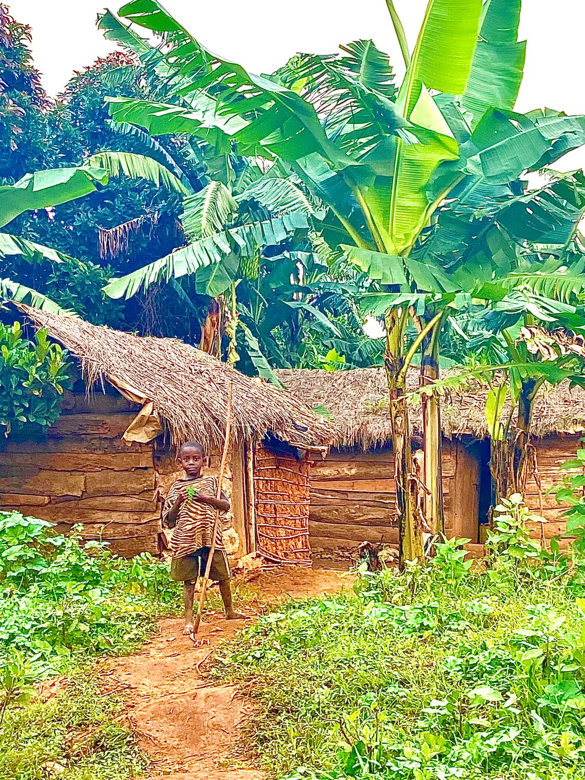 Angola reconhecimento